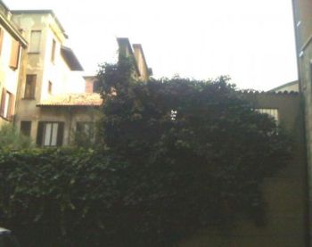 Appartamento con balcone e terrazzo - Altre fotografie