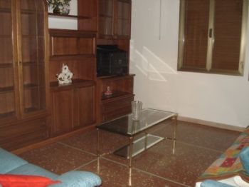 Appartamento studenti con terrazzo Saffi - Altre fotografie