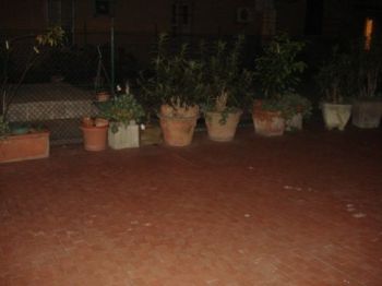 Appartamento studenti con terrazzo Saffi - Altre fotografie