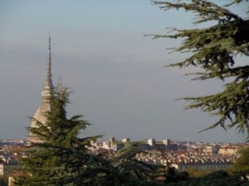 Appartamento arredato con balcone Precollina, collina - Altre fotografie