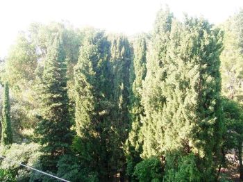 Appartamento con garage e balcone Centro - Altre fotografie