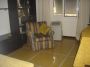 Appartamento con balcone Rapallo