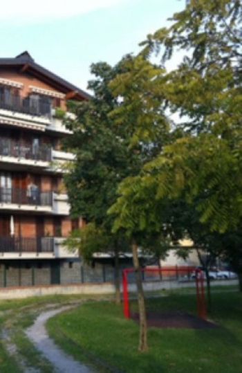 Casa con terrazzo e aria condizionata - Altre fotografie