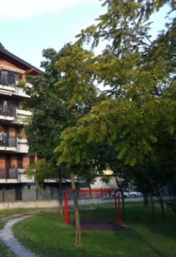 Casa con terrazzo e aria condizionata - Altre fotografie