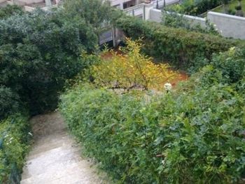 Appartamento affitto Santa Flavia - Altre fotografie