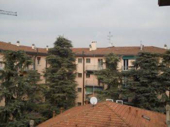 Bilocale arredato San vitale - Altre fotografie