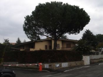 Villa affitto Roma - Altre fotografie