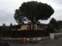 Villa con terrazzo e giardino Nuovo salario, prati