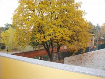 Casa con balcone e posto auto Est - Altre fotografie