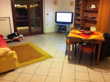 Appartamento affitto Moncalieri - Altre fotografie