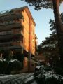 Appartamento con terrazzo Aurelio/gregorio