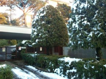 Appartamento con terrazzo Aurelio/gregorio vii/ubaldi/san pietro - Altre fotografie