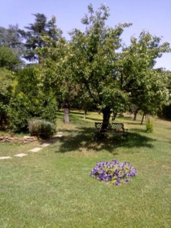 Villa arredata con giardino Portuense, magliana - Altre fotografie