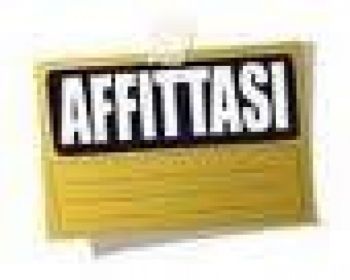 Appartamento affitto Torino - Altre fotografie