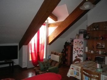 Appartamento affitto Torino