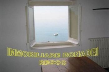Appartamento affitto Recco - Altre fotografie