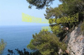 Appartamento arredato Sori - Altre fotografie