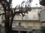 Casa arredata con terrazzo Lecco