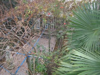Villa con giardino e posto auto Noale - Altre fotografie