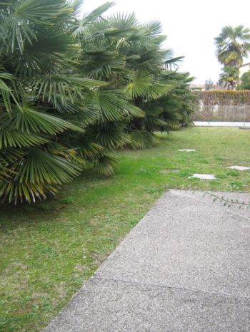 Appartamento affitto Santa Maria Di Sala - Altre fotografie