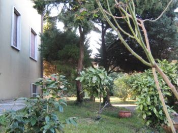 Appartamento affitto Spinea - Altre fotografie