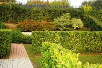 Casa arredata con aria condizionata - Altre fotografie