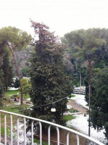 Casa arredata con balcone Parioli, pinciano - Altre fotografie