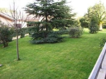 Bilocale arredato con terrazzo Massimina, tredicesimo, casal lumbroso - Altre fotografie