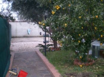 Appartamento affitto Roma - Altre fotografie