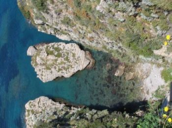 Villa arredata con terrazzo Altavilla Milicia - Altre fotografie