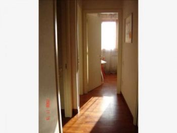 Appartamento nuova costruzione con terrazzo - Altre fotografie