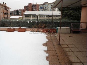 Appartamento affitto Cologno Monzese