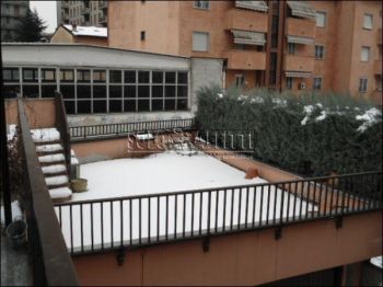 Casa arredata con terrazzo Cologno centro