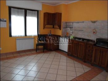 Casa arredata con terrazzo Cologno centro
