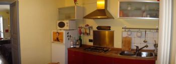 Bilocale zona Lungo po Antonelli - Cucina