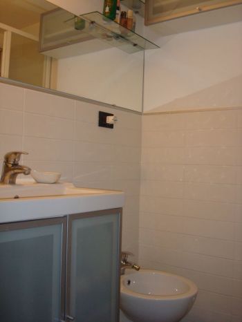 Bilocale zona Lungo po Antonelli - Bagno