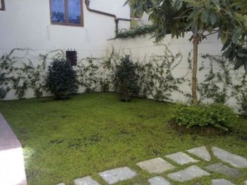 Appartamento arredato con giardino Centro storico - Altre fotografie