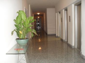 Bilocale con terrazzo Poggetto - Altre fotografie