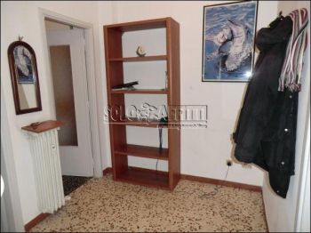 Appartamento affitto Torino