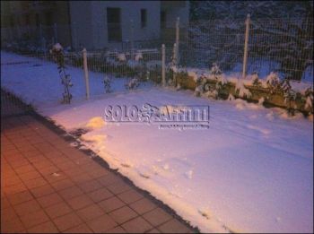 Appartamento affitto Paderno Dugnano
