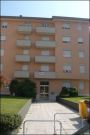 Appartamento arredato con balcone Citt� studi
