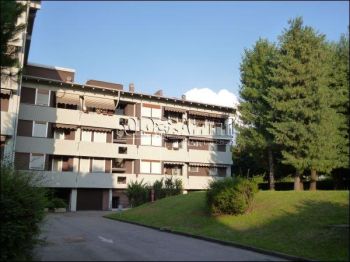 Appartamento affitto Rho