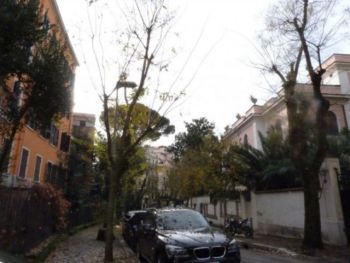 Appartamento con balcone Parioli, pinciano - Altre fotografie