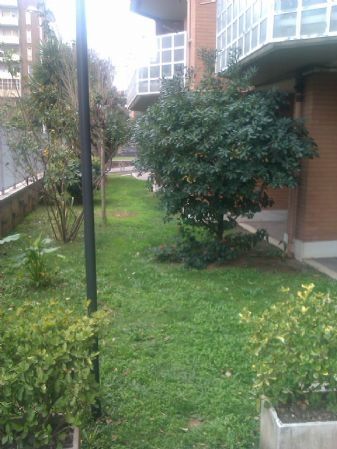 Appartamento arredato con balcone Pomezia