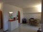 Affittasi bifamiliare con giardino