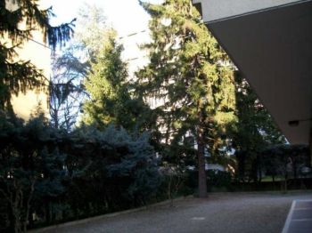 Bilocale arredato Costa saragozza