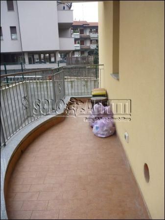 Appartamento affitto Legnano