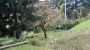 Casa con giardino Concesio