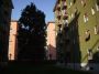 Casa arredata Greco , monza , palmanova, bicocca