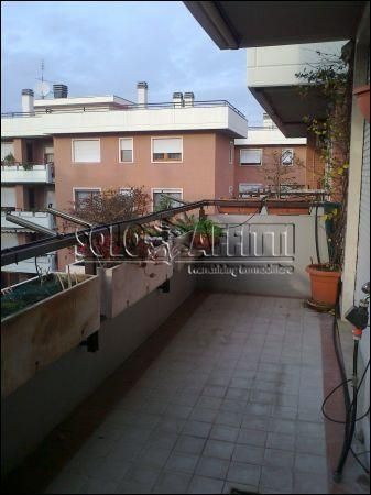 Appartamento affitto Roma